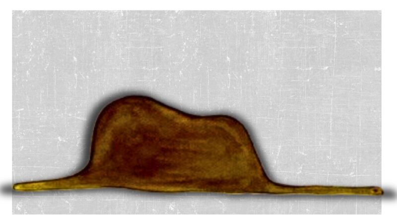 O que você vê em sua empresa: um chapéu ou uma jiboia em relação à saúde mental de seus colaboradores