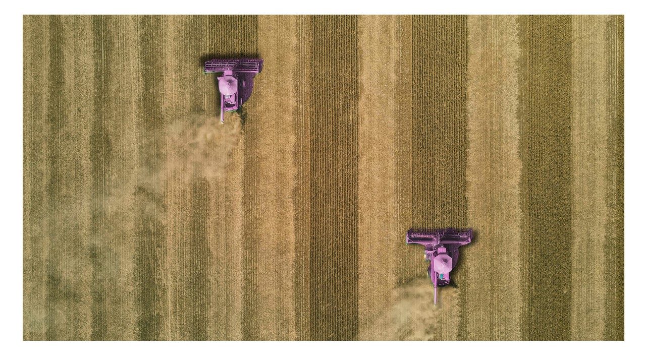 Do solo aos algoritmos, a safra agora é de talentos: o agro exige um novo RH